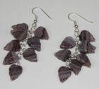 Earrings  - 4802-0019