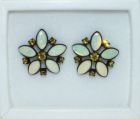 Earrings  - N-00089