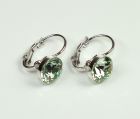 71338: S05 - zelen - rhodium foto