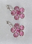 Earrings with ear-flap